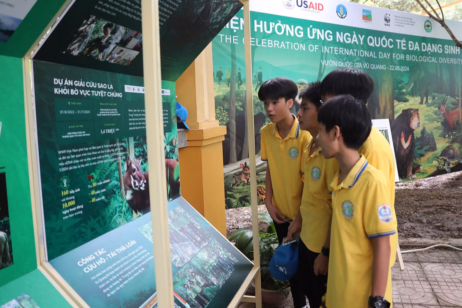 Các em học sinh tìm hiểu về đa dạng sinh học tại Vườn Quốc gia Vũ Quang. Các em học sinh tìm hiểu về đa dạng sinh học tại Vườn Quốc gia Vũ Quang.