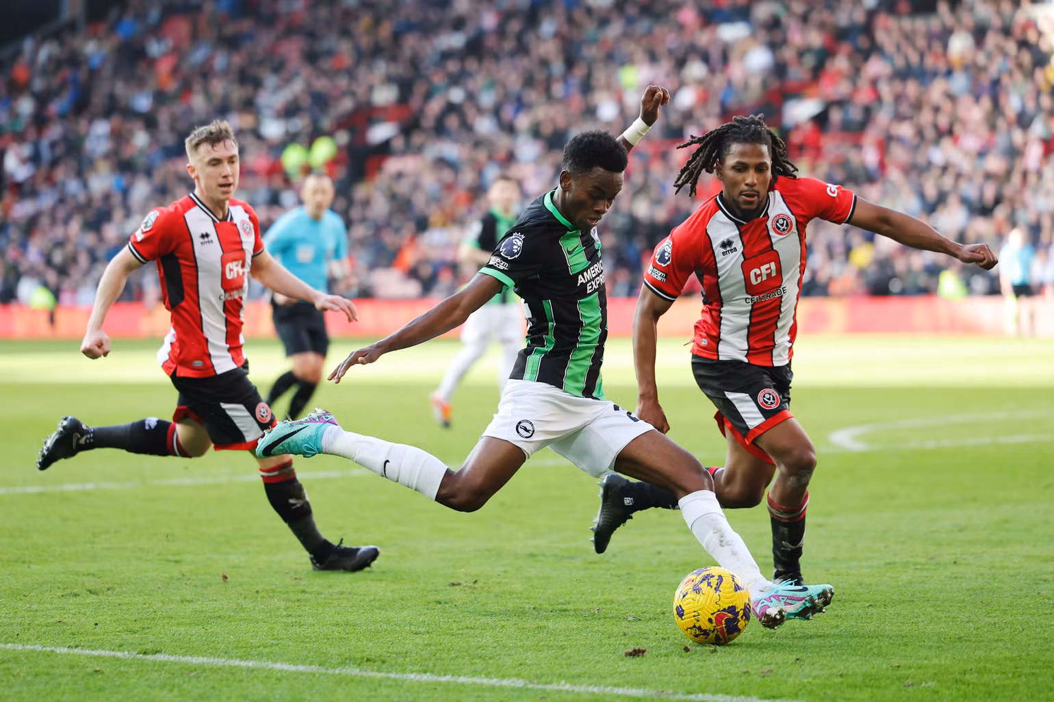 Chơi hơn người từ sớm, Brighton dễ dàng “đè bẹp” Sheffield. (Ảnh: Sheff United Way) Chơi hơn người từ sớm, Brighton dễ dàng “đè bẹp” Sheffield. (Ảnh: Sheff United Way)