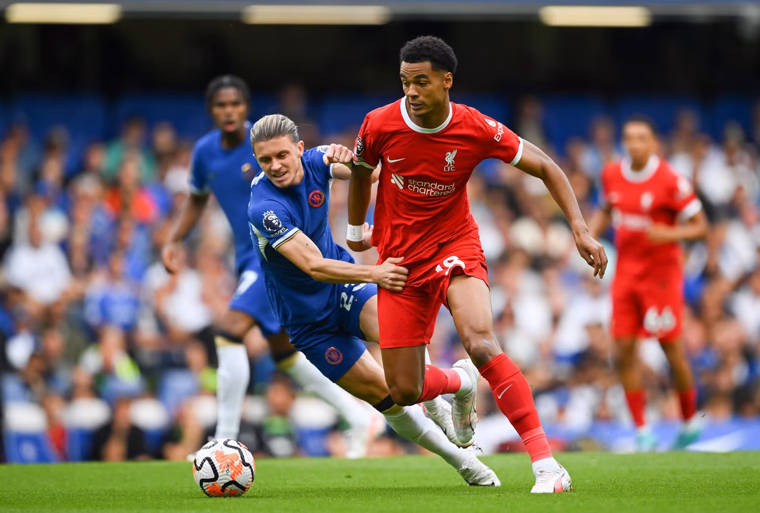 Gakpo là trung phong duy nhất còn lành lặn của Liverpool. (Ảnh: The Independent) Gakpo là trung phong duy nhất còn lành lặn của Liverpool. (Ảnh: The Independent)