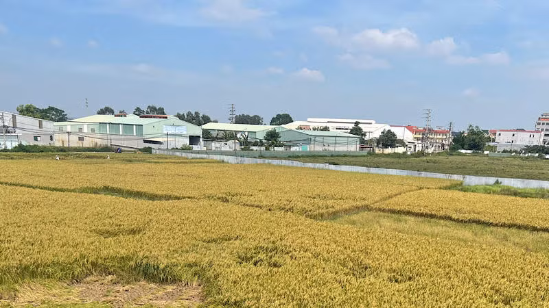 Các nguồn thu từ đất góp phần quan trọng trong cân đối vốn đầu tư công.