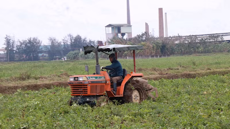Nhiều công đoạn trong trồng, thu hoạch khoai tây như làm đất, lên luống, thu hoạch đã được ứng dụng cơ giới hóa.