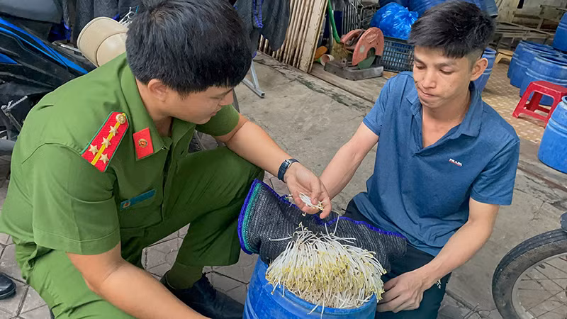 Qua kiểm tra, Công an thành phố Quảng Ngãi phát hiện giá đỗ do chủ cơ sở Đào Văn Lập sản xuất tại phường Nghĩa Chánh, thành phố Quảng Ngãi, sử dụng hóa chất kích thích tăng trưởng. Qua kiểm tra, Công an thành phố Quảng Ngãi phát hiện giá đỗ do chủ cơ sở Đào Văn Lập sản xuất tại phường Nghĩa Chánh, thành phố Quảng Ngãi, sử dụng hóa chất kích thích tăng trưởng.