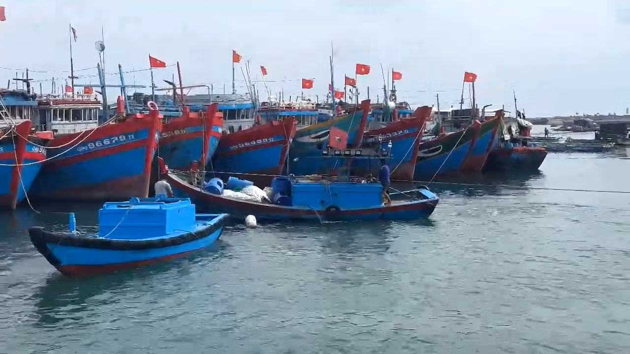 Hàng trăm tàu cá của ngư dân Lý Sơn đã vào neo đậu an toàn tại vũng neo trú tàu thuyền Lý Sơn. Hàng trăm tàu cá của ngư dân Lý Sơn đã vào neo đậu an toàn tại vũng neo trú tàu thuyền Lý Sơn.