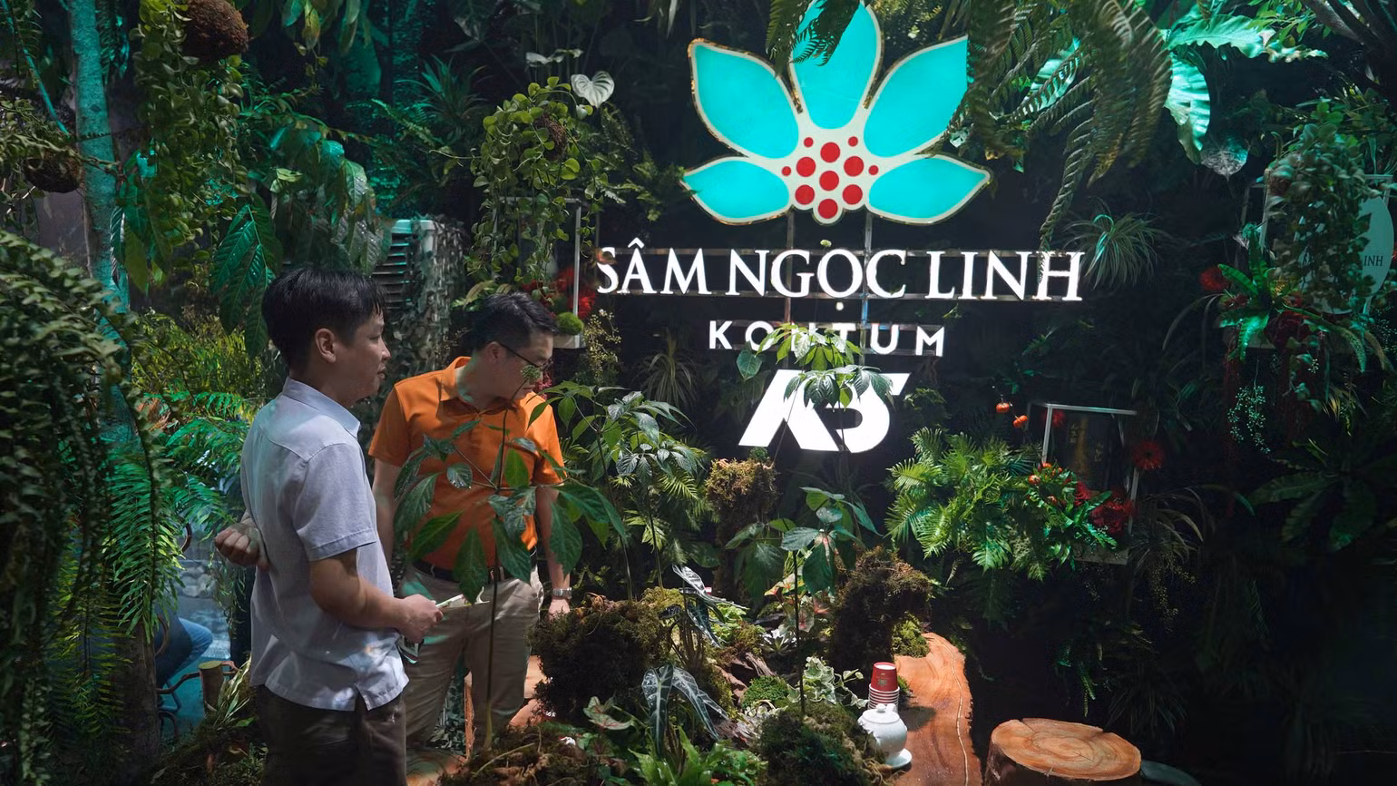 Nhiều khách tham quan thích thú với rừng sâm Ngọc Linh được tái hiện ngay trong lễ hội sâm quốc tế. Nhiều khách tham quan thích thú với rừng sâm Ngọc Linh được tái hiện ngay trong lễ hội sâm quốc tế.