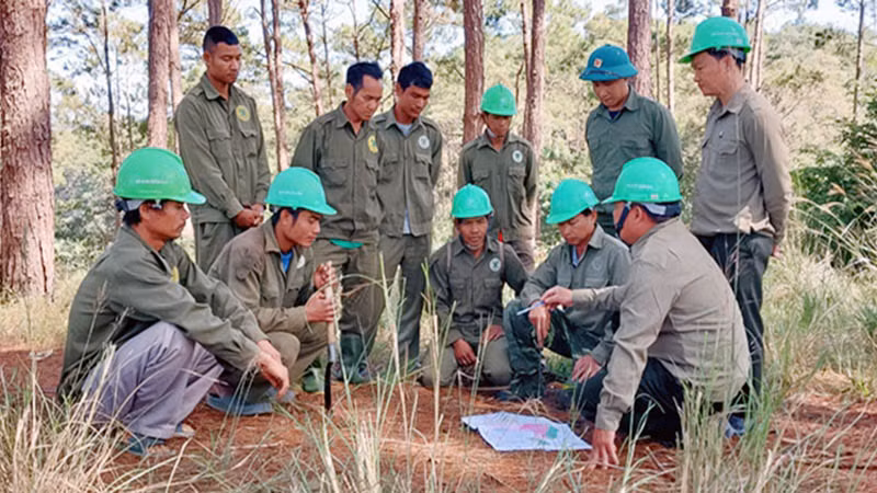 Hộ nhận khoán tham gia tuần tra bảo vệ rừng cùng chủ rừng.