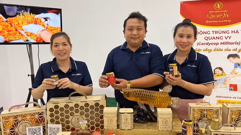Dự án sợi nấm vàng Đồng khởi của Võ Lê Như Ngọc (Bến Tre) tham gia cuộc thi khởi nghiệp xanh. Dự án sợi nấm vàng Đồng khởi của Võ Lê Như Ngọc (Bến Tre) tham gia cuộc thi khởi nghiệp xanh.