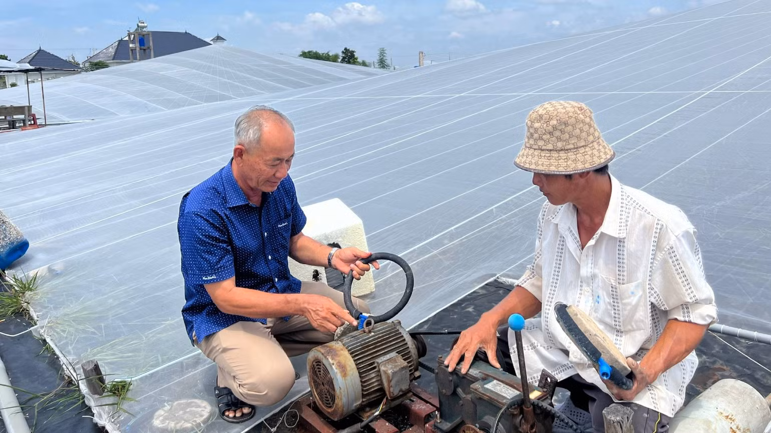 Gia đình ông Lê Văn Sấm đầu tư máy móc, nhà lưới phát triển hiệu quả mô hình nuôi tôm công nghệ cao. (Ảnh: HOÀNG TRUNG)