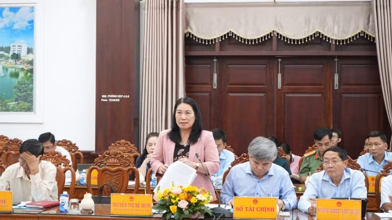 Lãnh đạo tỉnh Bến Tre phát biểu tại buổi làm việc. (Ảnh: HOÀNG TRUNG)