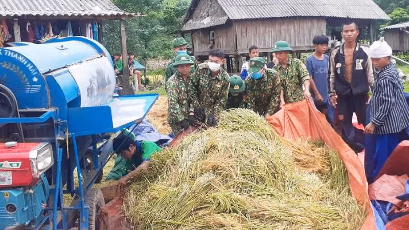 Bộ đội Biên phòng hỗ trợ tuốt lúa ngay trong bản rồi giao lúa hạt cho từng hộ dân.