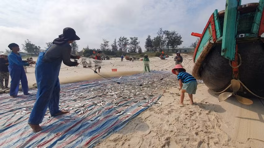 Cả nhà cùng gỡ cá. (Ảnh: Hương Giang)