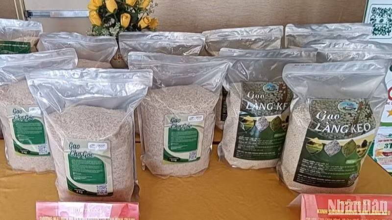 Toàn tỉnh Thái Bình có 25 sản phẩm lúa gạo được công nhận đạt chuẩn OCOP. Toàn tỉnh Thái Bình có 25 sản phẩm lúa gạo được công nhận đạt chuẩn OCOP.