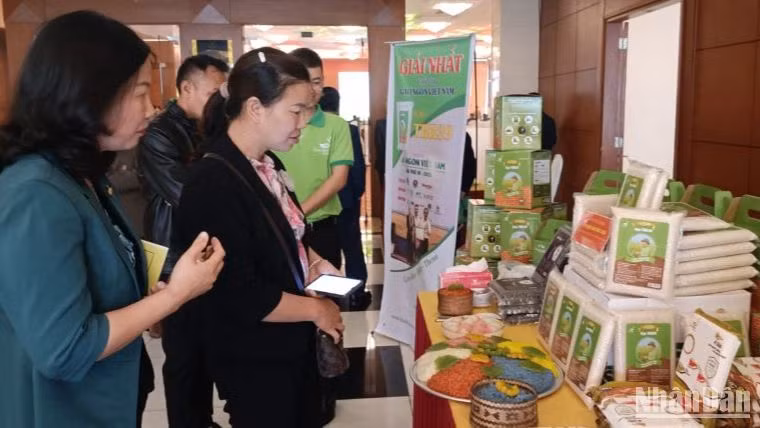 Các sản phẩm OCOP, sản phẩm chủ lực tiêu biểu ở tỉnh Thái Bình đang góp phần tạo thương hiệu mạnh, thúc đẩy tiêu thụ trên thị trường và quảng bá tốt hình ảnh cho địa phương. Các sản phẩm OCOP, sản phẩm chủ lực tiêu biểu ở tỉnh Thái Bình đang góp phần tạo thương hiệu mạnh, thúc đẩy tiêu thụ trên thị trường và quảng bá tốt hình ảnh cho địa phương.
