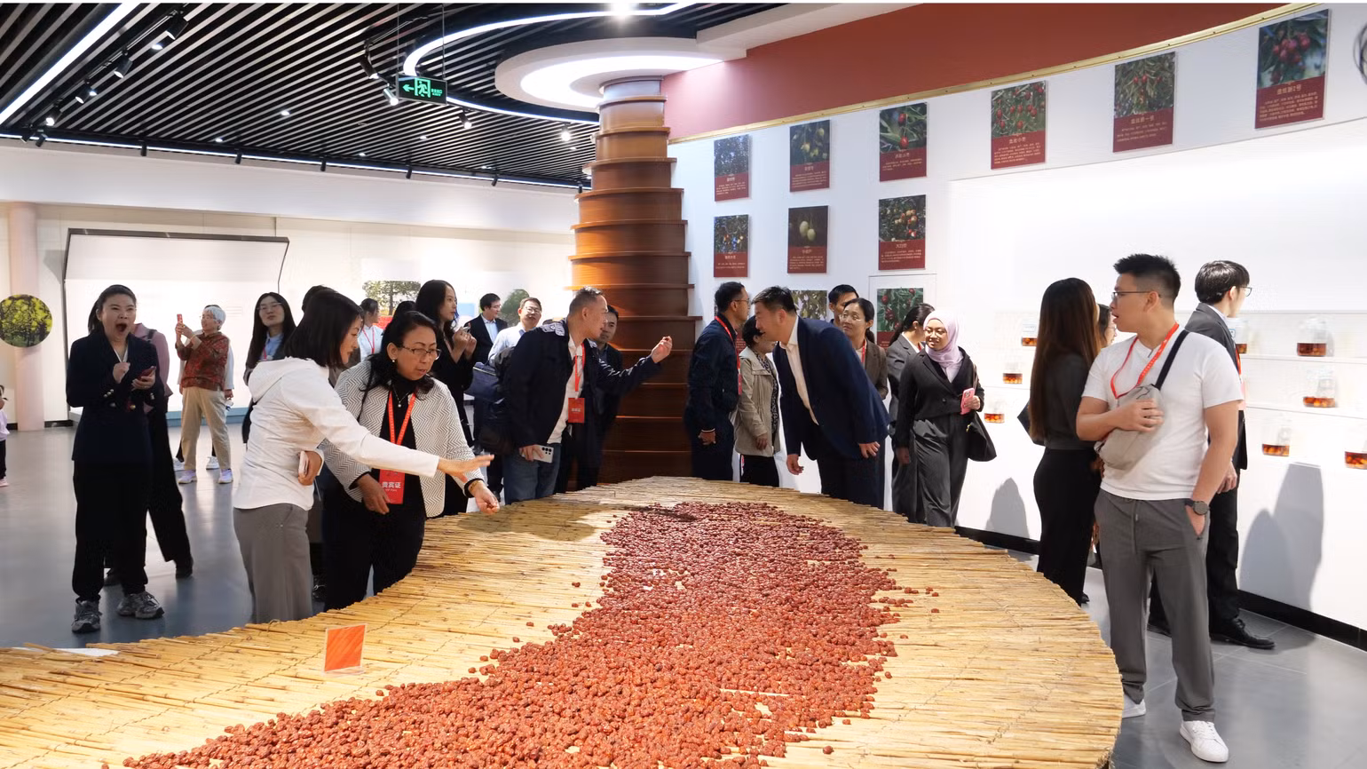 Các đại biểu tham quan Bảo tàng văn hóa táo đỏ Trung Quốc. Các đại biểu tham quan Bảo tàng văn hóa táo đỏ Trung Quốc.