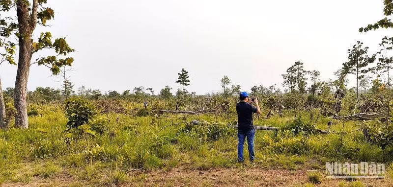 Đắk Lắk cần có những giải pháp mạnh hơn nữa, nhất là xử lý nghiêm các cán bộ, nhân viên thiếu trách nhiệm trong công tác quản lý, bảo vệ rừng và các đối tượng phá rừng, nhằm bảo bảo vệ những diện tích rừng tự nhiên quý giá còn lại hiện nay. Đắk Lắk cần có những giải pháp mạnh hơn nữa, nhất là xử lý nghiêm các cán bộ, nhân viên thiếu trách nhiệm trong công tác quản lý, bảo vệ rừng và các đối tượng phá rừng, nhằm bảo bảo vệ những diện tích rừng tự nhiên quý giá còn lại hiện nay.