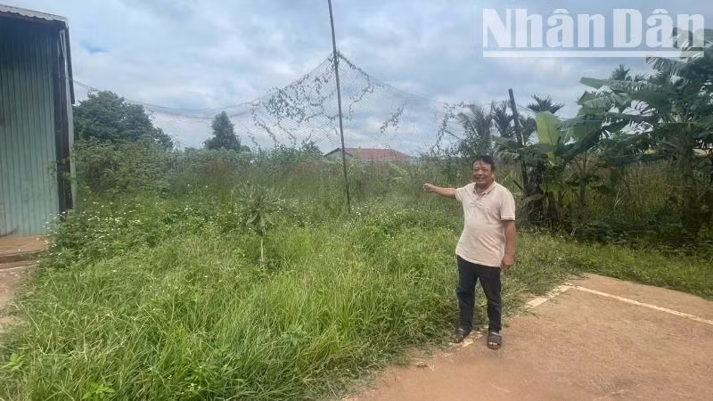 Ông Nguyễn Văn Diễn đứng trước thửa đất mà ông đã mua hơn 12 năm nay trước giáp với hành lang giao thông Quốc lộ 14, nay Văn phòng đăng ký đất đai huyện Krông Búk mời lên làm thủ tục hoàn thuế khiến ông bức xúc.