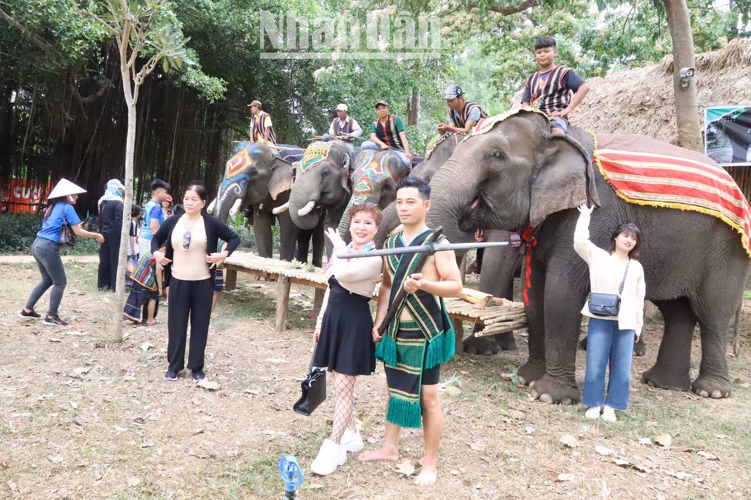 Du khách đến với Trung tâm Du lịch cầu treo Buôn Đôn đã quen dần với du lịch thân thiện với voi.