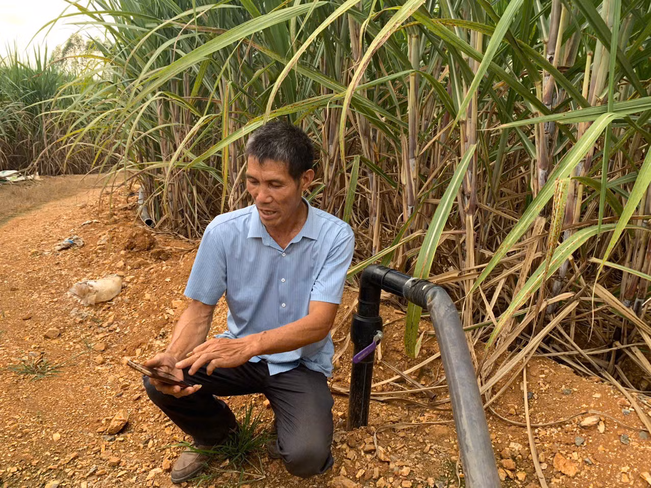 Ông Phùng Uy đang vận hành hệ thống tưới tiêu thông minh sử dụng phân bón hữu cơ từ chất thải của trang trại chăn nuôi. Ông Phùng Uy đang vận hành hệ thống tưới tiêu thông minh sử dụng phân bón hữu cơ từ chất thải của trang trại chăn nuôi.