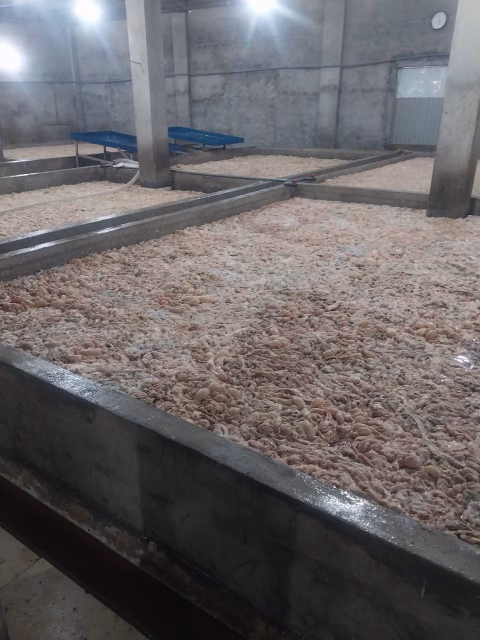 Hiện trường khi lực lượng chức năng kiểm tra. Hiện trường khi lực lượng chức năng kiểm tra.
