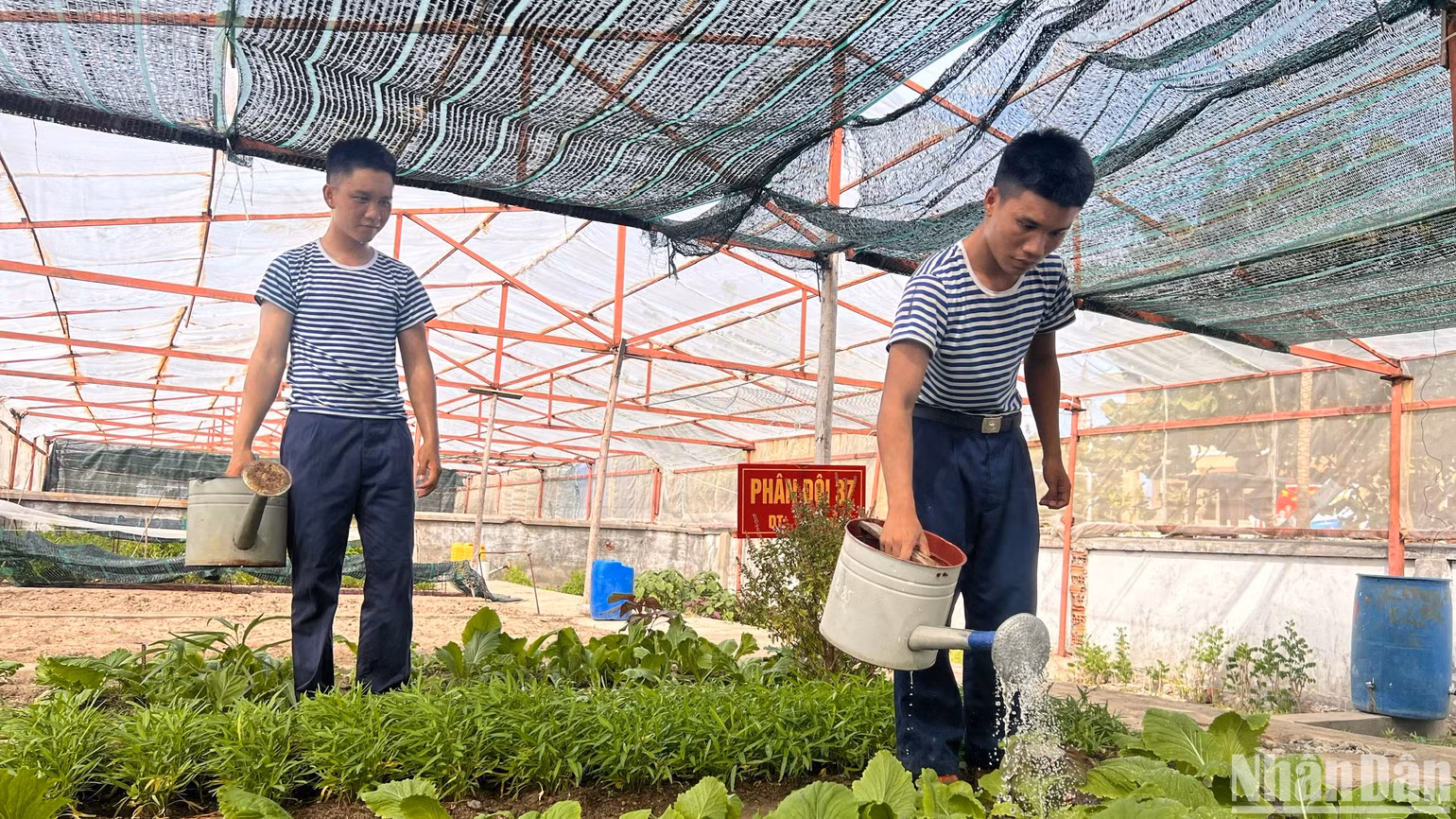 Chiến sĩ tăng gia sản xuất trên đảo.