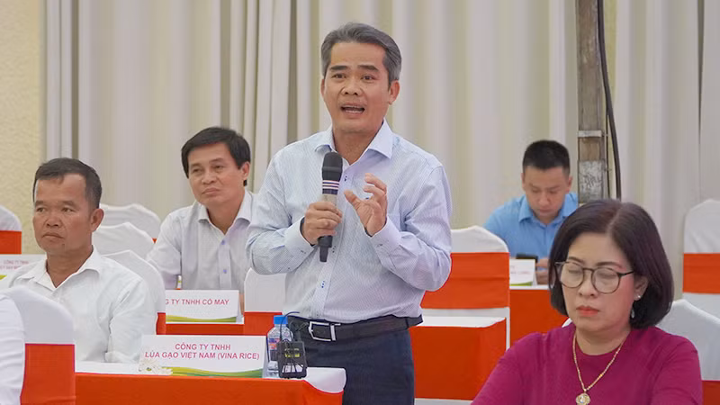 Lãnh đạo một doanh nghiệp thông tin về thị trường lúa gạo. (Ảnh: HỮU NGHĨA)