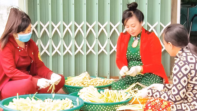 Khâu chế biến bồn bồn đã giải quyết được lực lượng lao động nhàn rỗi tại địa phương. Khâu chế biến bồn bồn đã giải quyết được lực lượng lao động nhàn rỗi tại địa phương.