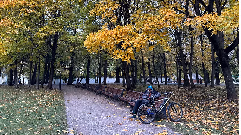 Trong công viên Kolomenskoe.