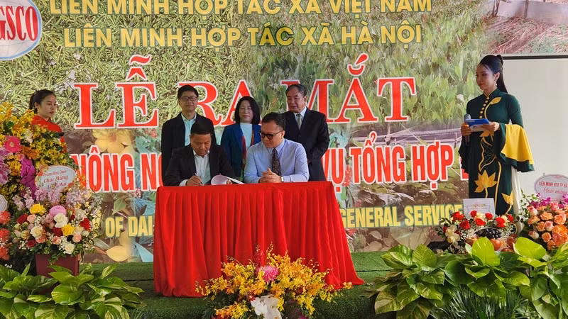 Lễ ra mắt Hợp tác xã nông nghiệp và dịch vụ Đại Nam cuối năm 2023 với sự tham gia của các chuyên gia nông nghiệp và dược liệu đến từ Hàn Quốc.