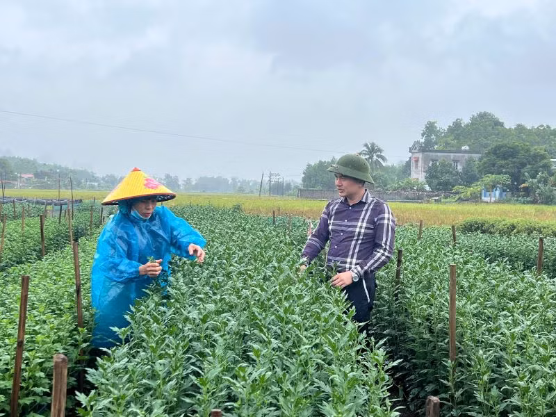 Mô hình trồng hoa phục vụ tết Nguyên đán của người dân xã Thạch Bình mang lại thu nhập cao cho người dân vào mỗi dịp cuối năm.