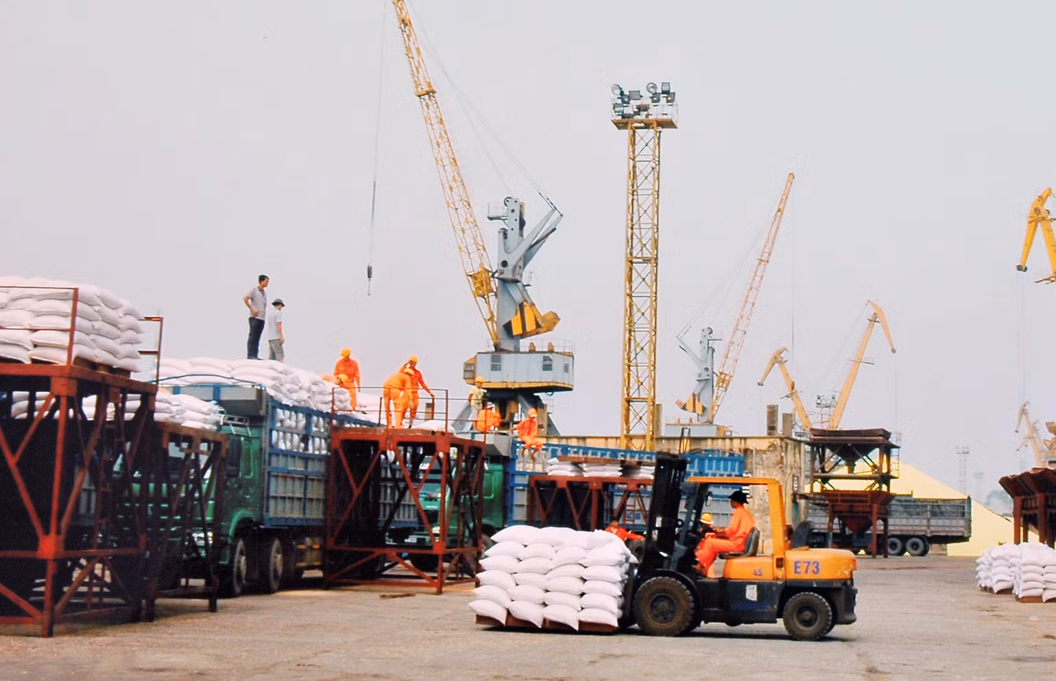 Các doanh nghiệp xuất khẩu gạo nhận được nhiều đơn hàng lớn từ châu Âu. Ảnh: BẮC SƠN Các doanh nghiệp xuất khẩu gạo nhận được nhiều đơn hàng lớn từ châu Âu. Ảnh: BẮC SƠN