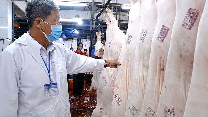 Kỹ thuật viên chẩn đoán bệnh động vật hạng IV, Trạm Chăn nuôi, Thú y huyện Bến Lức, tỉnh Long An kiểm tra các cơ sở giết mổ gia súc, gia cầm trên địa bàn. (Ảnh LÊ NGỌC) Kỹ thuật viên chẩn đoán bệnh động vật hạng IV, Trạm Chăn nuôi, Thú y huyện Bến Lức, tỉnh Long An kiểm tra các cơ sở giết mổ gia súc, gia cầm trên địa bàn. (Ảnh LÊ NGỌC)