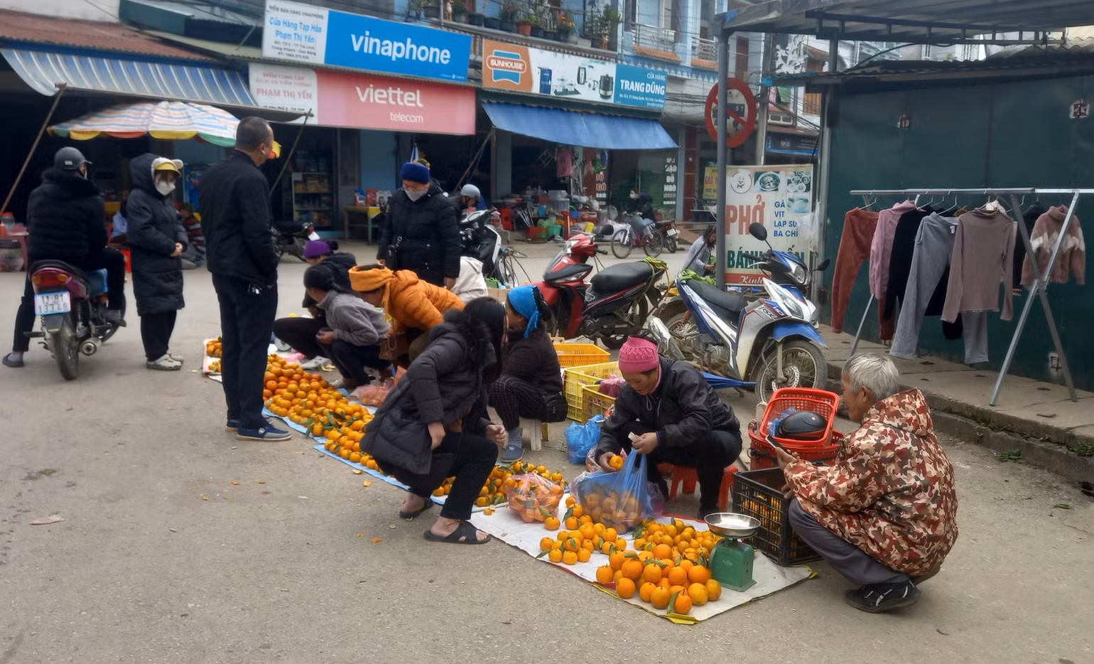 Cây quýt mang lại nguồn thu nhập cao cho nông dân xã Quang Hán, huyện Trùng Khánh, tỉnh Cao Bằng. Cây quýt mang lại nguồn thu nhập cao cho nông dân xã Quang Hán, huyện Trùng Khánh, tỉnh Cao Bằng.