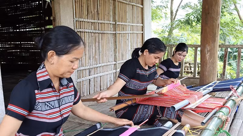 Di sản nghề dệt thổ cẩm ở Làng Teng, xã Ba Thành là niềm tự hào của đồng bào dân tộc Hrê ở huyện miền núi Ba Tơ anh hùng. Di sản nghề dệt thổ cẩm ở Làng Teng, xã Ba Thành là niềm tự hào của đồng bào dân tộc Hrê ở huyện miền núi Ba Tơ anh hùng.