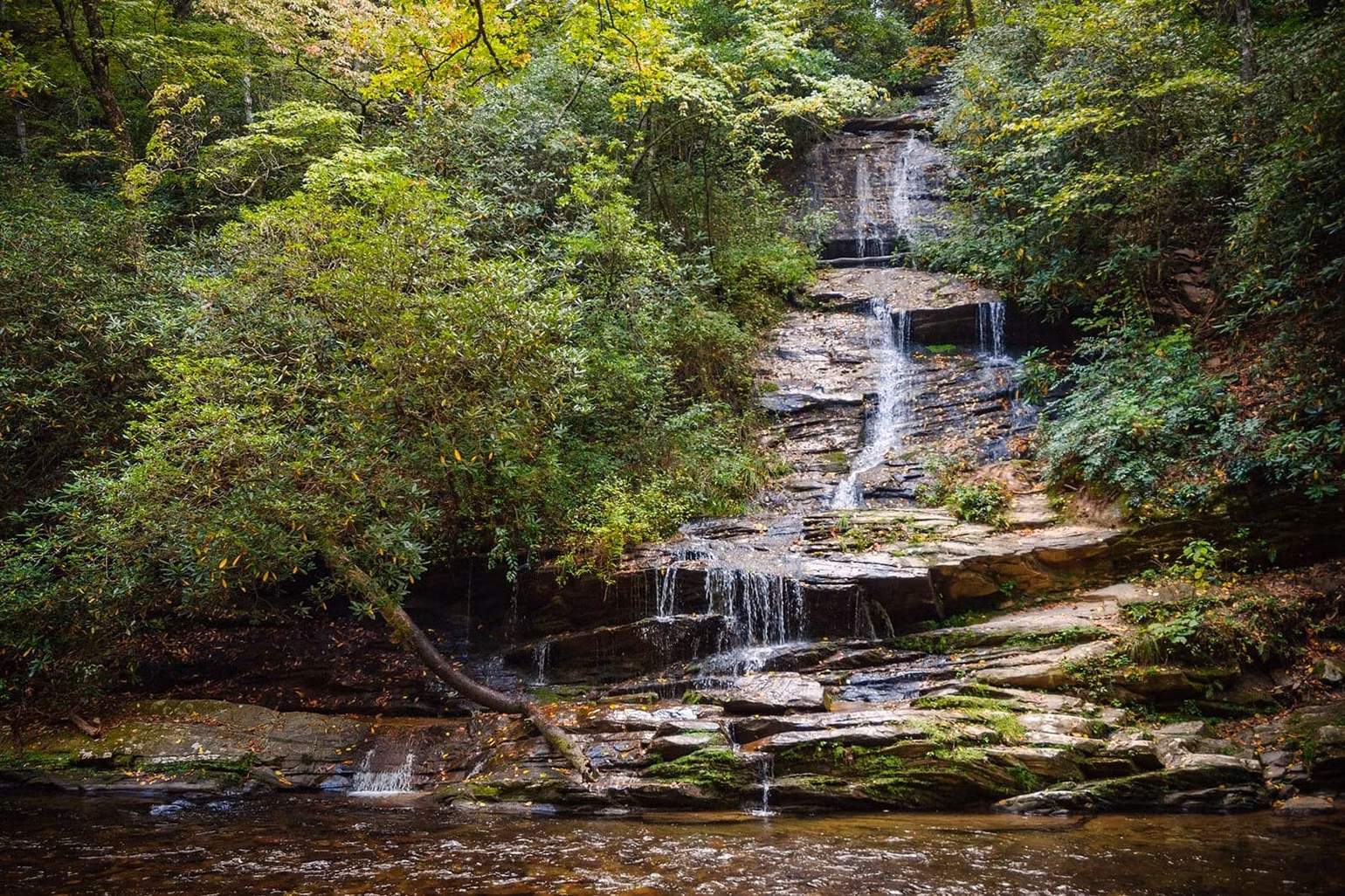 1 góc Công viên quốc gia Great Smoky Mountains.