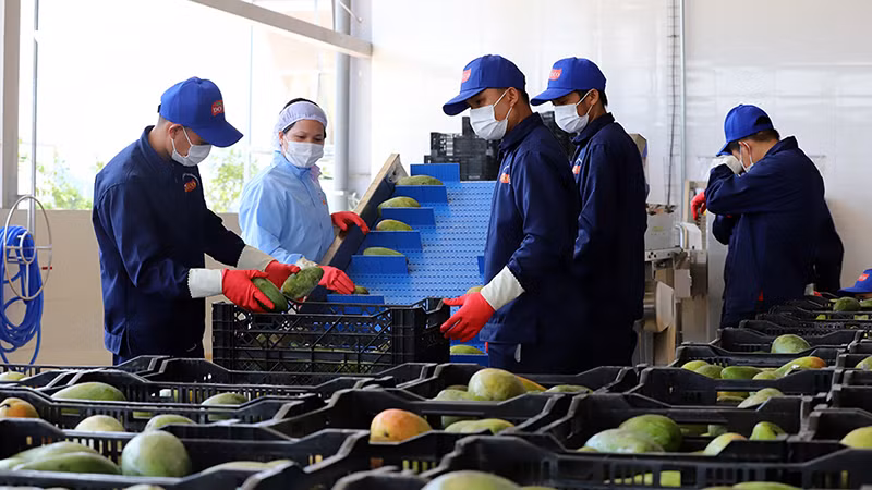 Với nguồn hàng dồi dào, Việt Nam còn nhiều tiềm năng xuất khẩu qua thương mại điện tử. Với nguồn hàng dồi dào, Việt Nam còn nhiều tiềm năng xuất khẩu qua thương mại điện tử.