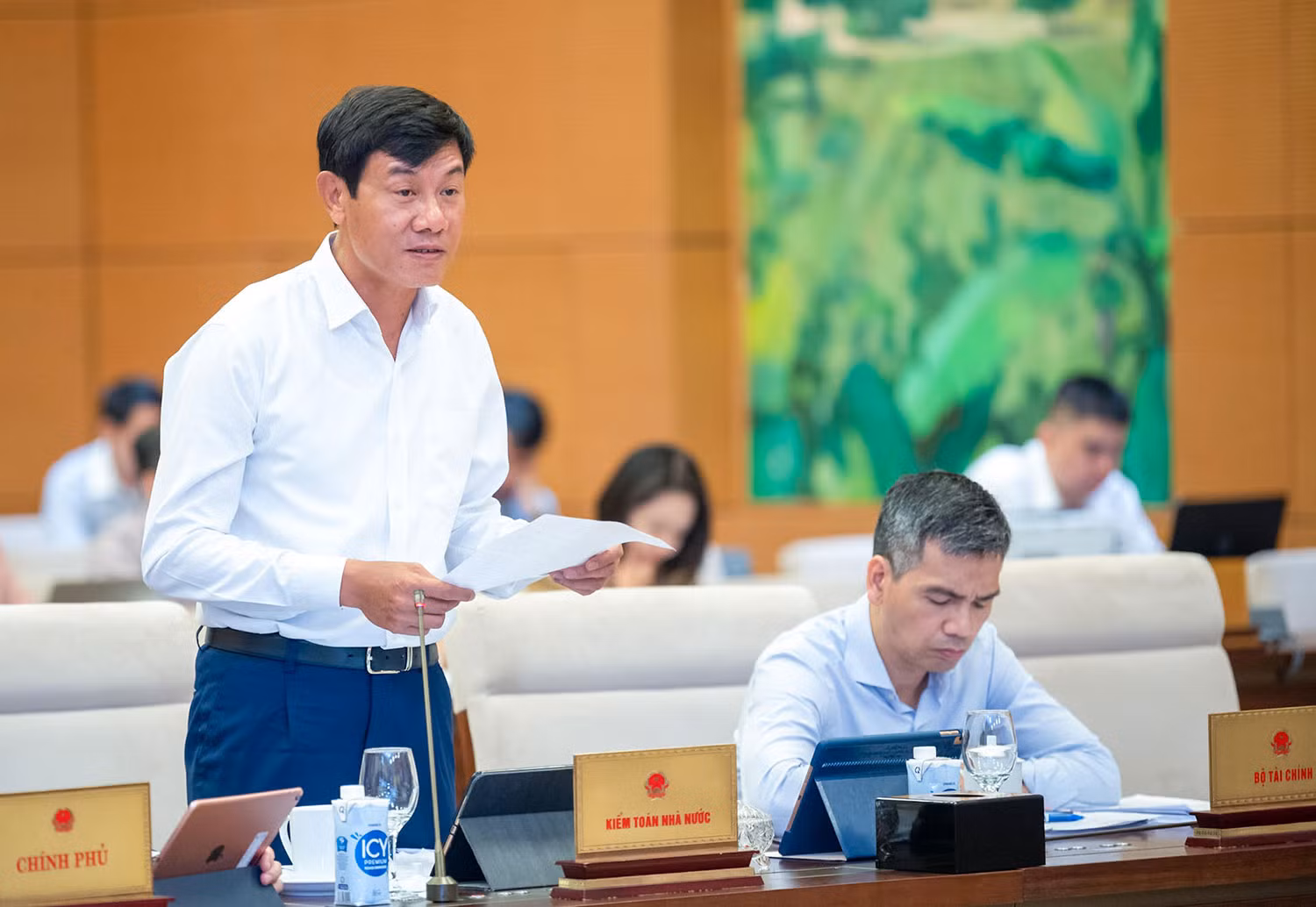 Phó Tổng Kiểm toán Nhà nước Doãn Anh Thơ trình bày báo cáo tại phiên họp.