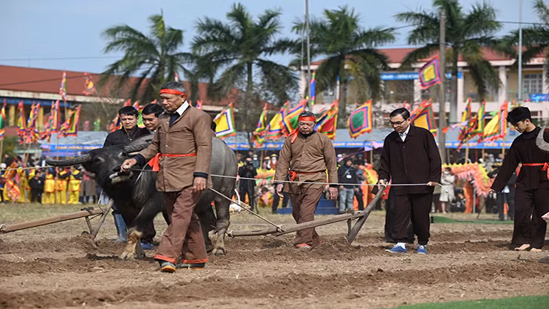 Các đồng chí lãnh đạo Thị ủy Duy Tiên thực hiện nghi thức cày Tịch điền tại lễ hội.