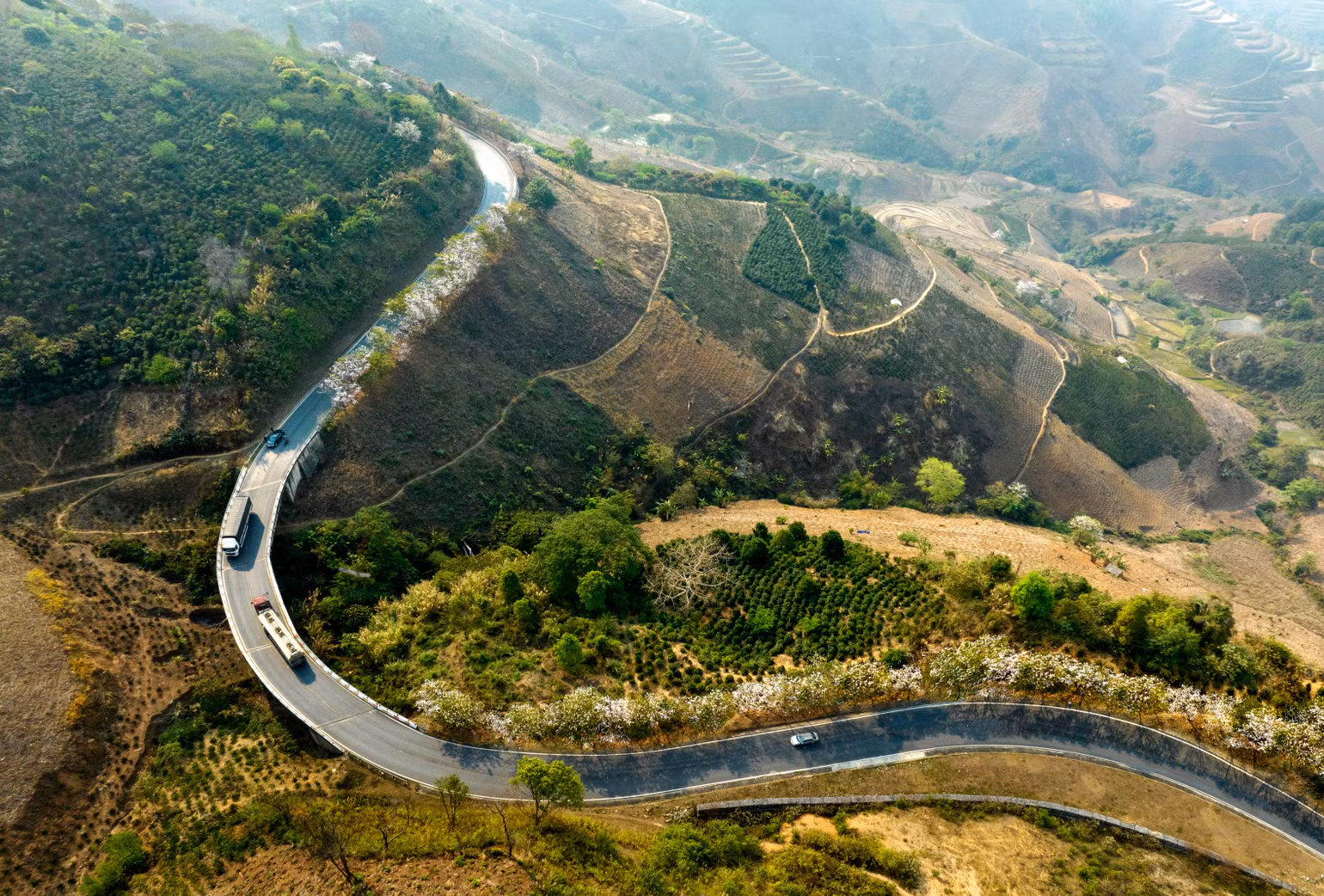 Dịp này, những cung đường lên núi cao lại xuất hiện những chuyến xe tìm về chiêm ngưỡng hoa ban Tây Bắc.