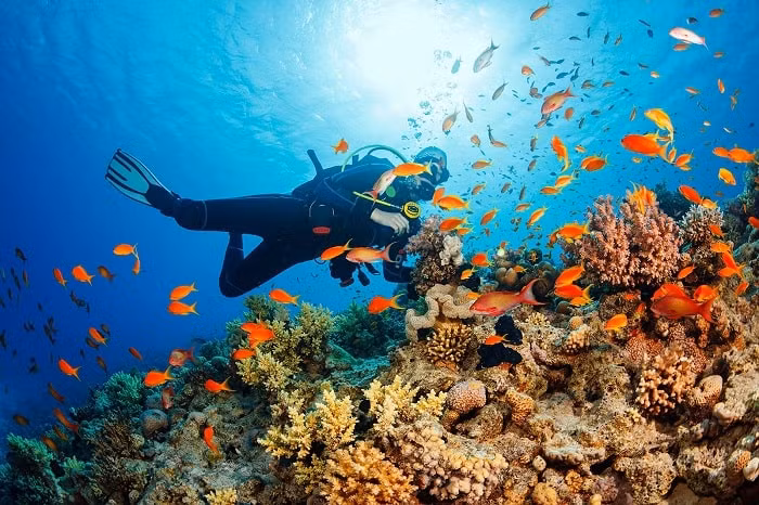 Phuket là thiên đường lặn biển ở Thái Lan. (Ảnh: vi.hotels.com) Phuket là thiên đường lặn biển ở Thái Lan. (Ảnh: vi.hotels.com)