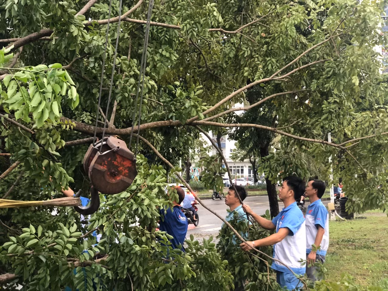 Lực lượng cứu hộ tại chỗ của công ty Cienco 5 xử lý cây xanh bị ngã đổ. (Ảnh: VĂN TOẢN)