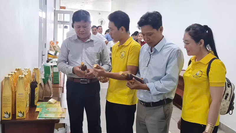 Sản phẩm “Mật ong hoa chôm chôm” được Hội đồng công nhận đạt 4 sao