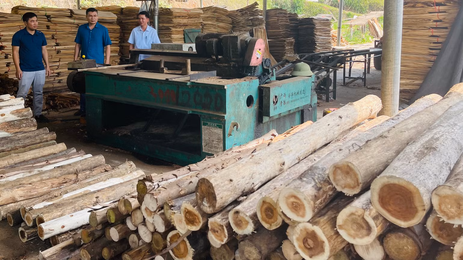 Từ nguồn vốn chính sách xã hội, nhiều nông dân huyện Yên Bình đã đầu tư sản xuất chế biến gỗ rừng trồng. (Ảnh: THANH SƠN)