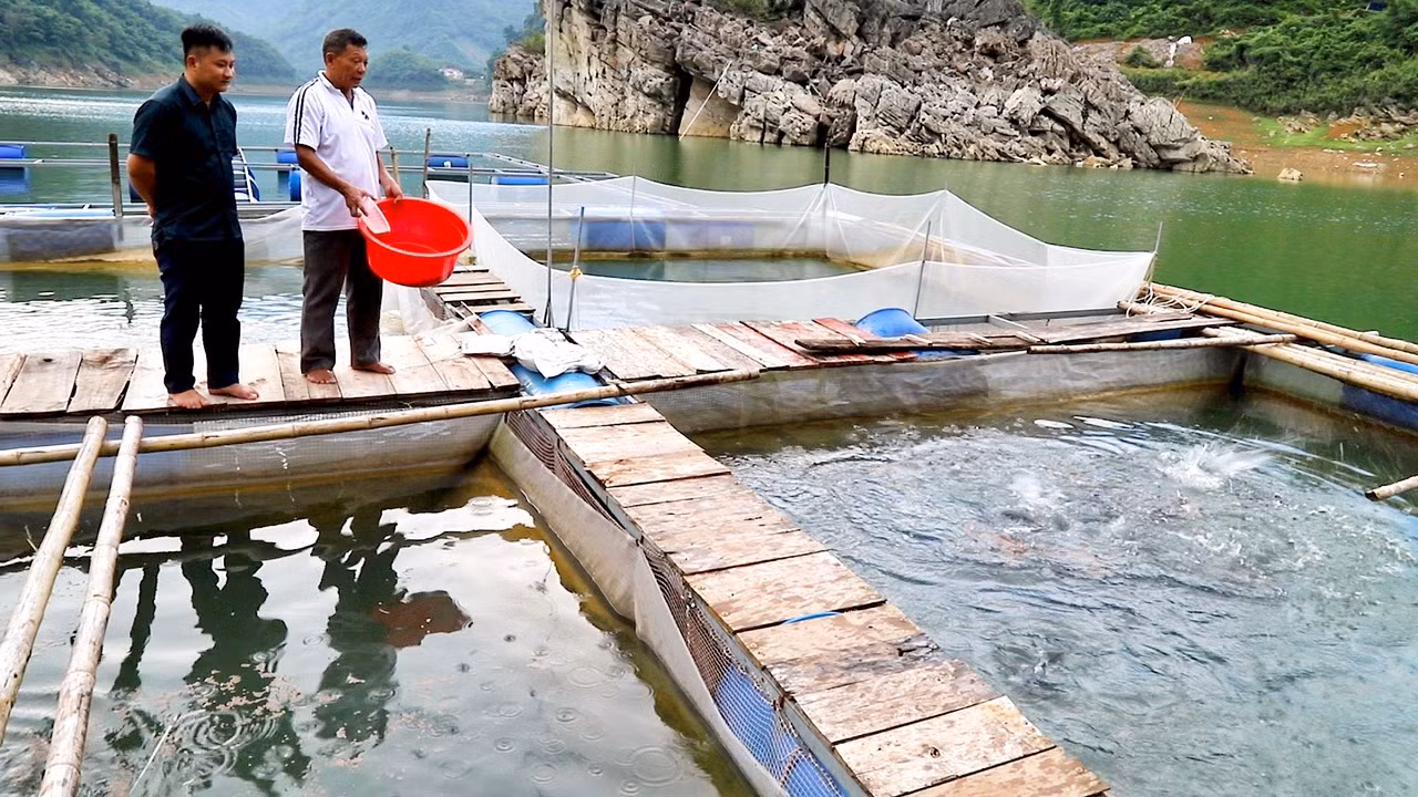 Người dân nuôi cá lồng trên sông.