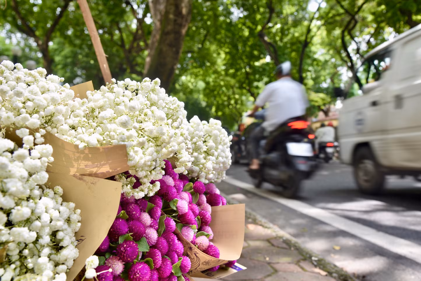 Giá của mỗi loại hoa giao động từ 120.000-150.000/bó. Giá của mỗi loại hoa giao động từ 120.000-150.000/bó.