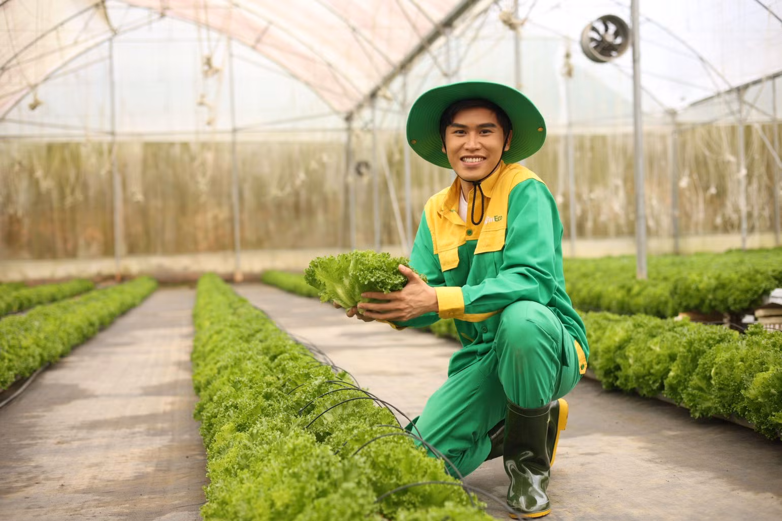 Sau khi thu hoạch, xà lách sẽ được đưa vào phòng lạnh đóng gói đúng quy chuẩn, dán tem truy xuất nguồn gốc rõ ràng