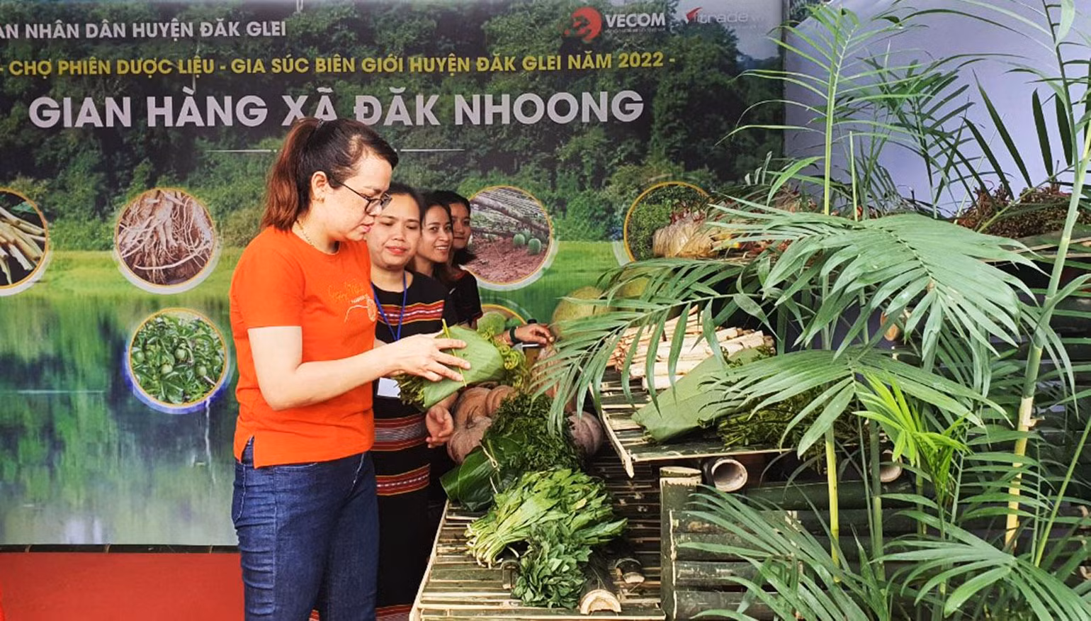 Nhiều loại thảo dược rừng được mang đến giới thiệu cho người dân. Nhiều loại thảo dược rừng được mang đến giới thiệu cho người dân.