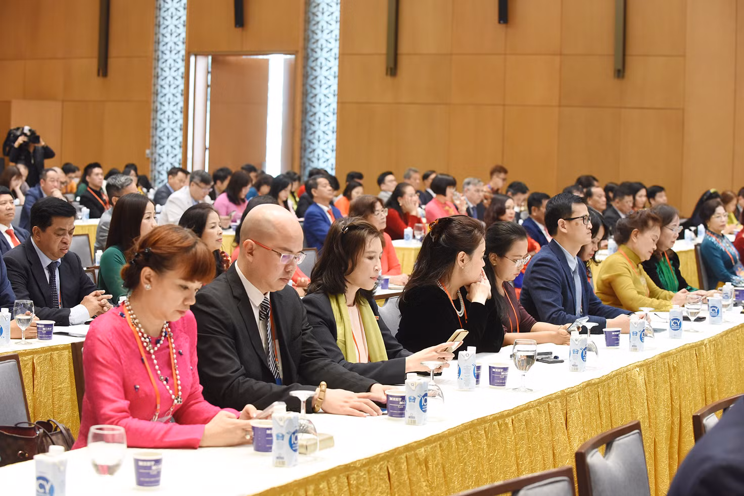 Các kiều bào tại buổi gặp mặt.