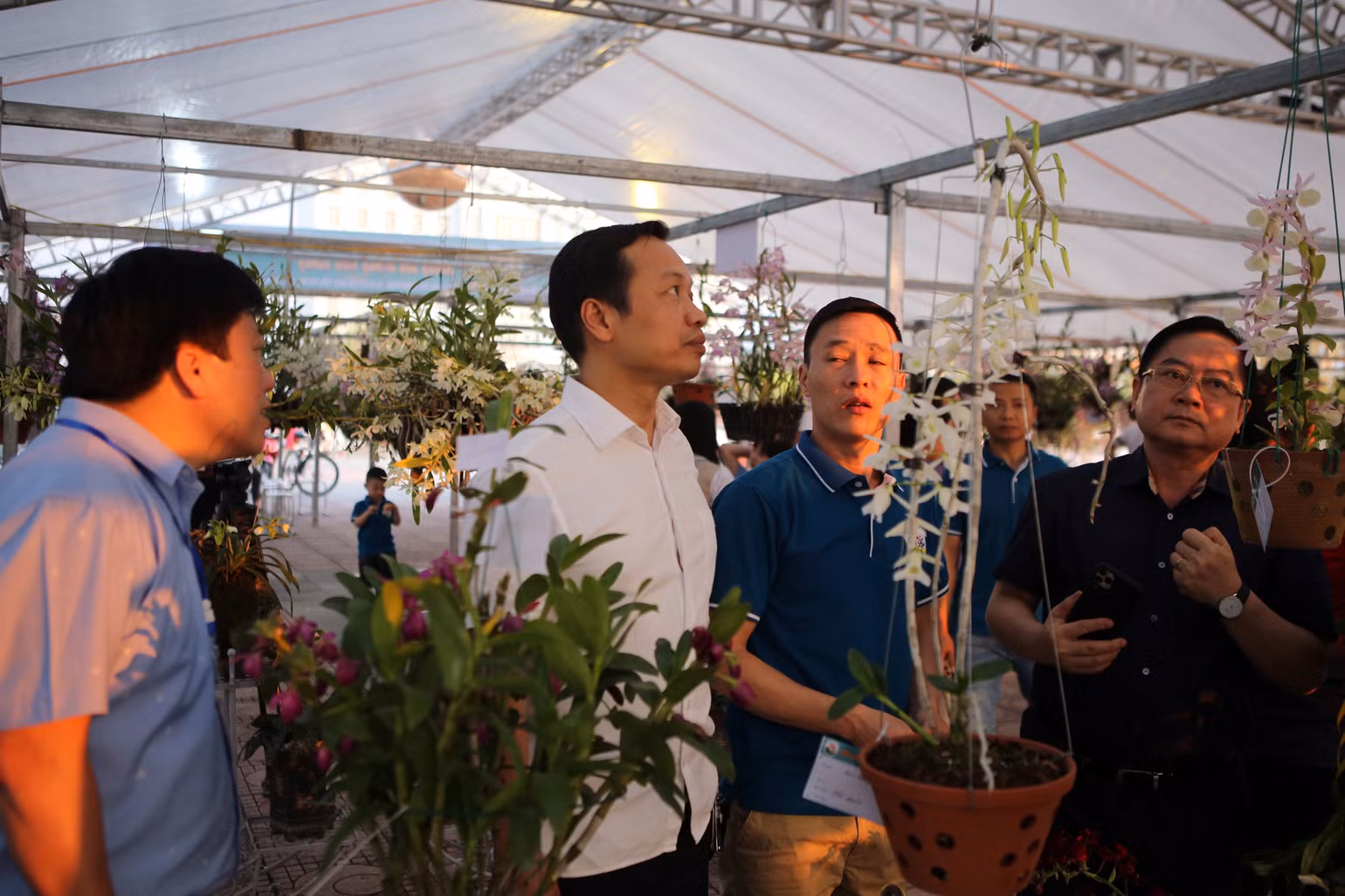 Không gian triển lãm hoa lan. Không gian triển lãm hoa lan.