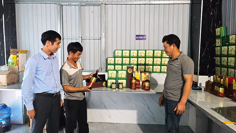 Tìm hiểu các sản phẩm được chế biến từ nhung hươu.