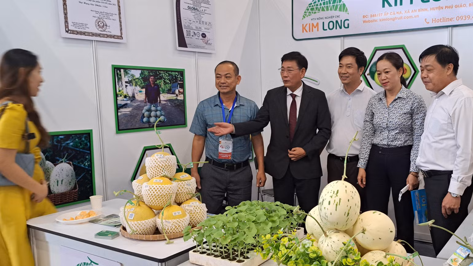 Sản phẩm OCOP của một hợp tác xã nông nghiệp tại Triển lãm kết nối cung cầu hàng hóa.
