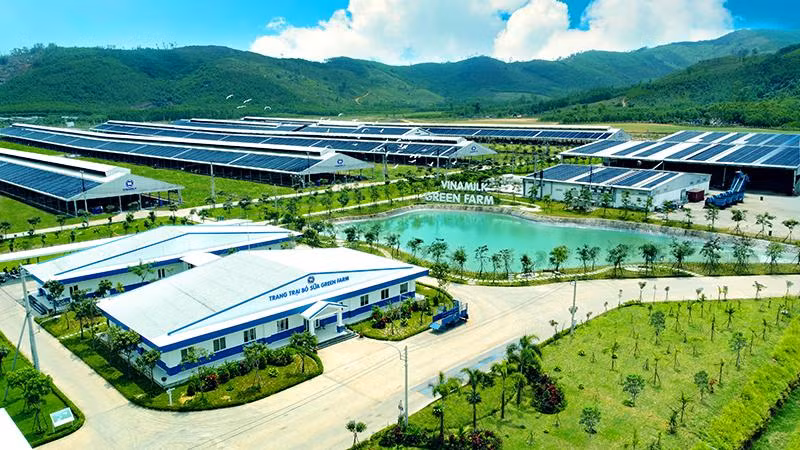 Hệ thống trang trại sinh thái Vinamilk Green Farm được xây dựng tại Tây Ninh, Quảng Ngãi, Thanh Hóa với quy mô đàn bò sữa 20.000 con. Hệ thống trang trại sinh thái Vinamilk Green Farm được xây dựng tại Tây Ninh, Quảng Ngãi, Thanh Hóa với quy mô đàn bò sữa 20.000 con.